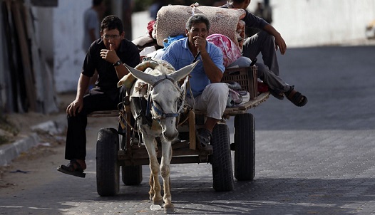 Alcuni abitanti di Gaza mentre abbandonano le loro abitazioni nella parte settentrionale della Striscia in seguito all'annuncio da parte dell'esercito israeliano di una serie di attacchi nell'area di Beit Lahia (THOMAS COEX/AFP/Getty Images)